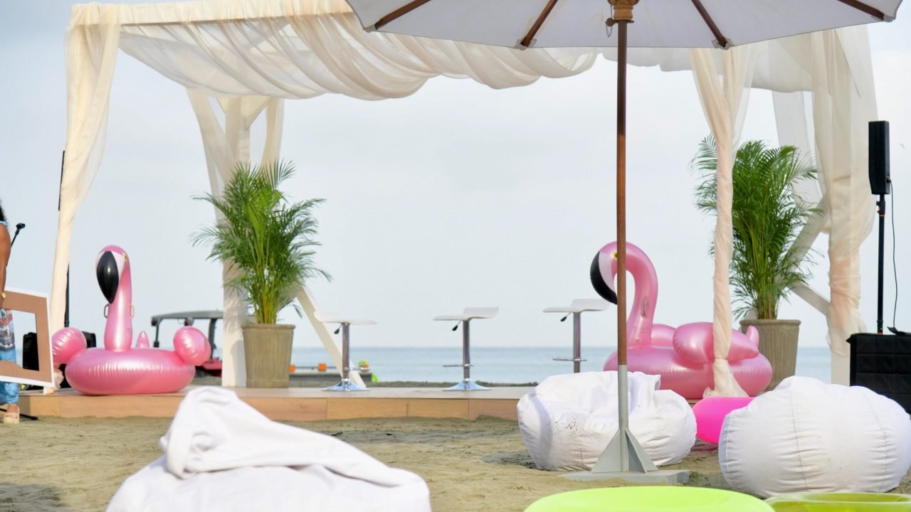 3331312f-9df5-465e-86ae-8cb566796b7e