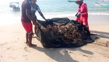 Veolia transforma las islas de la Zona Insular de Cartagena con jornadas integrales de limpieza
