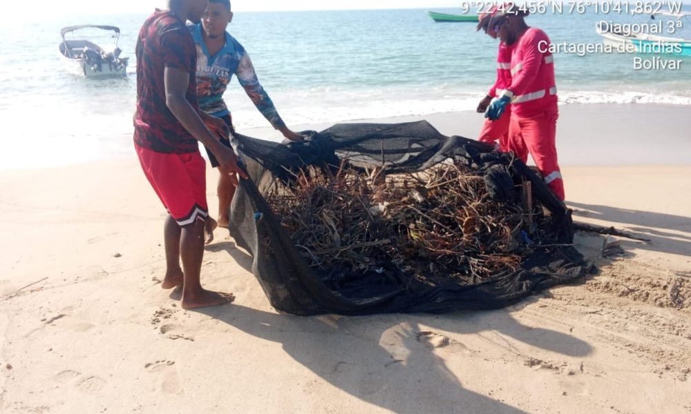 Veolia transforma las islas de la Zona Insular de Cartagena con jornadas integrales de limpieza