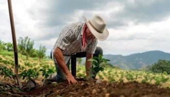 Cobros ilegales y falsos tramitadores: así estarían estafando a campesinos