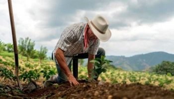 Cobros ilegales y falsos tramitadores: así estarían estafando a campesinos