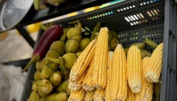 Bocagrande recibirá este domingo el mercado campesino con productos frescos directo del campo bolivarense