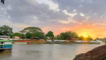 Esta es la programación del Festival Palo de Agua 2025