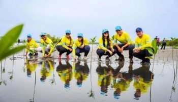 Más de 70 voluntarios de Cementos Argos transformaron el Caribe con acciones que dejan huella