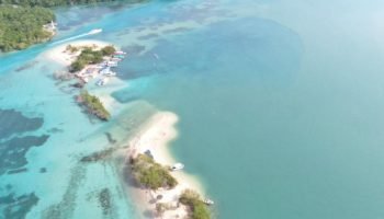 Cardique sigue analizando la magnitud de la situación ambiental en Barú y Portonaito