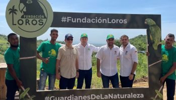 Cardique planea plantar más de 300 hectáreas de árboles en 6 municipios de Bolívar