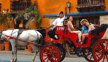 ¡Atención! Desde el 29 de diciembre no podrán circular vehículos de tracción animal en el Centro Histórico