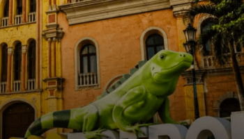 Tras casi dos décadas de disputa Consejo de Estado libera a la Universidad de Cartagena de pagar más de $49.000 millones a Ecopetrol 