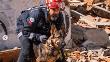 Con el corazón agotado: Togo, el perro rescatista que buscaba sobrevivientes en Venezuela, regresa a casa tras duro impacto emocional
