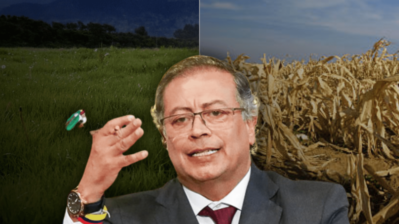 EMEL_20241016_134153_0000