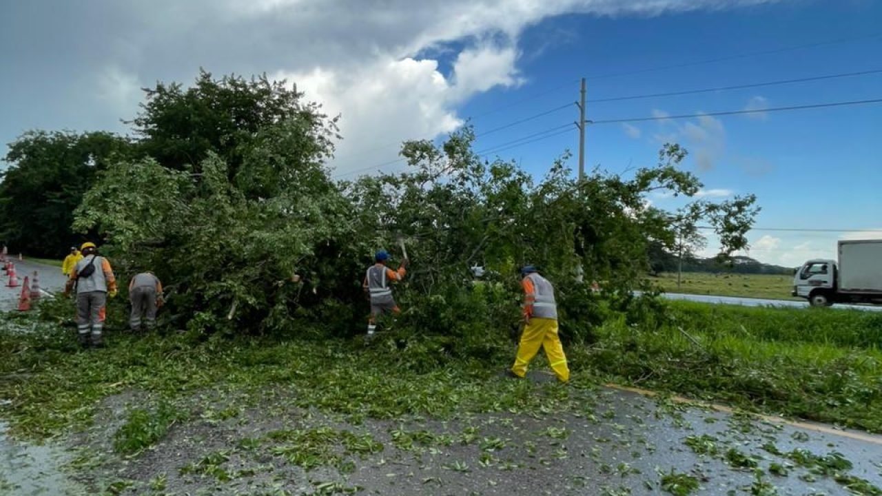 EMERGENCIA AUTOPISTAS DEL CARIBE