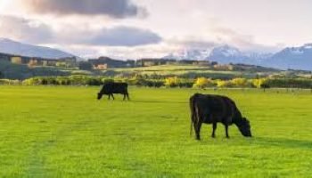 Fedegán facilita el proceso de los colombianos en la oferta voluntaria de tierras para la paz territorial