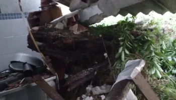‘Estoy sola, no puedo hacer nada’: adulta mayor en riesgo tras caída de un árbol sobre su casa en La María