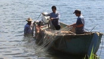 Homenaje a quien lo merece: hoy es el día del valiente pescador que lleva el sustento a toda su familiar