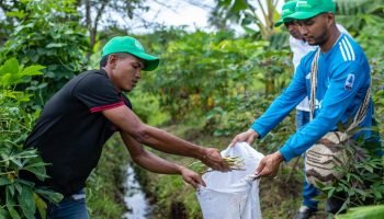 Empresa colombiana es reconocida internacionalmente por promover el desarrollo sostenible