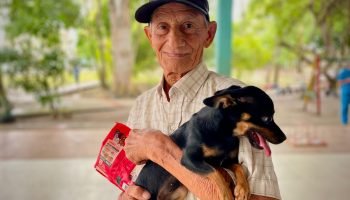 ¡Qué bonito! Conmemoran el Día Mundial Contra la Rabia vacunando a casi 130 gatos y perros