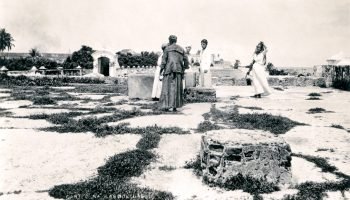 Recordando el cólera en Cartagena: la tragedia que marcó a la ciudad Heroica