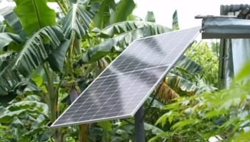 Cardique por Bolívar! La entidad promueve el desarrollo económico en el departamento