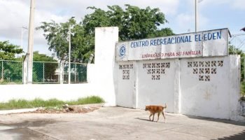 El renacer del Edén: el club que marcó a toda una generación en Cartagena