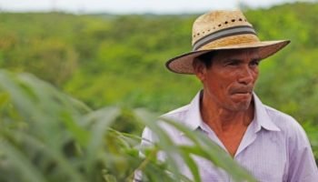 ¡Pilas! Bolívar tiene la cifra más alta de estafadores de tierras a campesinos