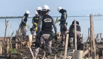 ‘Ya era hora de que hicieran algo’: habitantes ante la instalación de CAI Ambientales en la Ciénaga de la Virgen