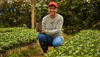 Promigas y aliados impulsan 3 iniciativas bolivarenses para la conservación de ecosistemas y cambio climáticoPromigas y aliados impulsan
