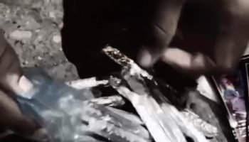 Policía encuentra “porros de marihuana” en materas del Centro Histórico