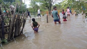Emergencia en Bolívar: fuertes lluvias destruyen puentes, hogares y cultivos dejando 2.000 damnificados 
