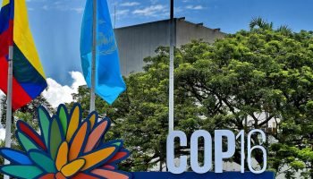Colombia: el país anfitrión de la COP16 no llegó con la tarea hecha a la conferencia mundial