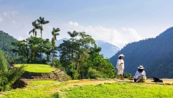 Corozo: la gran apuesta por la conservación en el Caribe colombiano