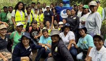 Cartagena se une a la Semana del Manglar con jornadas para proteger la Ciénaga de La Virgen
