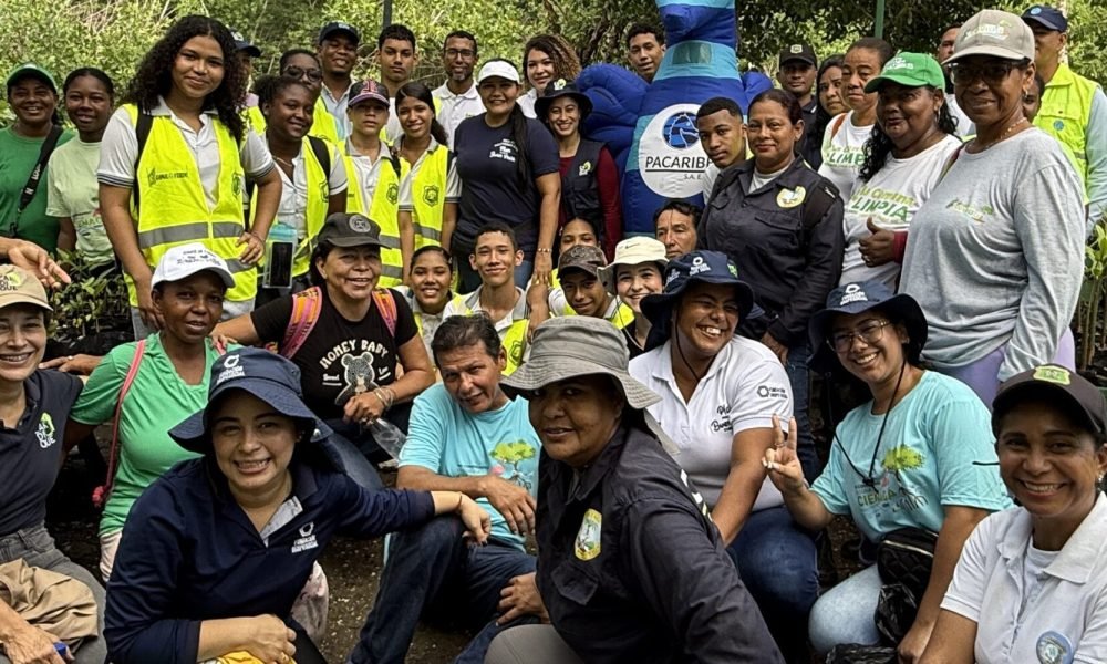 Cartagena se une a la Semana del Manglar con jornadas para proteger la Ciénaga de La Virgen