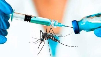 Cartagena podría ser ciudad piloto para implementar vacuna contra en dengue dentro del esquema