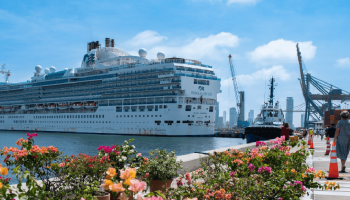 Cartagena recibirá más de 257 mil turistas de cruceros entre diciembre y febrero: se esperan más de $23 millones en ingresos