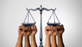 ¿Y si la sal se desvirtúa quién responde?