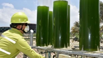 Cementos Argos revoluciona la industria con prácticas sostenibles y tecnologías avanzadas