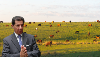 Presidente de Fedegán denuncia secuestros y cuestiona invasiones a fincas ganaderas