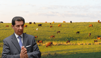 Presidente de Fedegán denuncia secuestros y cuestiona invasiones a fincas ganaderas