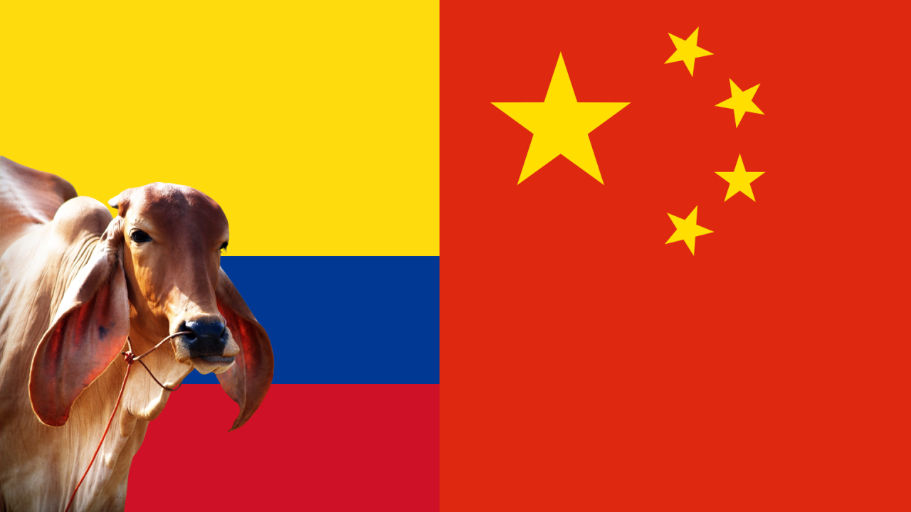 PÁGINA WEB  (16)