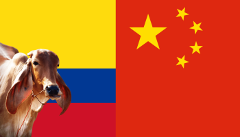 Fedegán, Fenavi y Porkcolombia sellan alianza con China para modernizar la producción de carne en Colombia