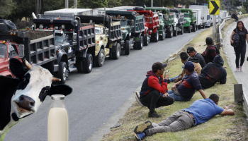Fedegán pide desbloqueo urgente: $1.000 millones diarios pierde el sector lechero por paro en el país