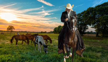 Cartagena recibirá la XXIII Feria Equina y Agroindustrial Copa Caribe 2026