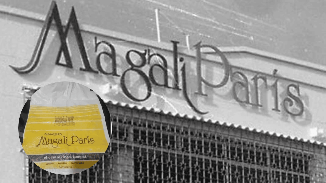 PÁGINA WEB (61)