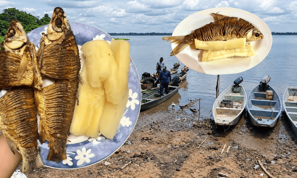 Yuca con pescado: el sabor de los pueblos de Bolívar que ha pasado de generación en generación y mantiene viva la tradición