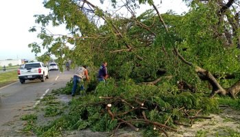 Rápida acción de Autopistas del Caribe restablece paso en la troncal de occidente