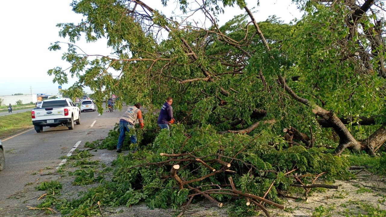 TRONCAL DE OCCIDENTE