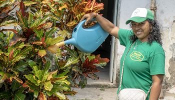 Más de 40 mujeres cabeza de hogar fortalecen su vivero comunitario con el apoyo del SENA y ecosistemas del Dique