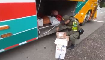 Incautan en un bus dos kilos de marihuana camuflada para que fuese vendida en Arjona