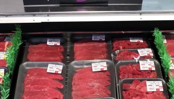 ¡El mundo pide más carne, animales vivos y lácteos de origen Colombia! Las exportaciones hasta abril totalizaron USD 180,8 millones