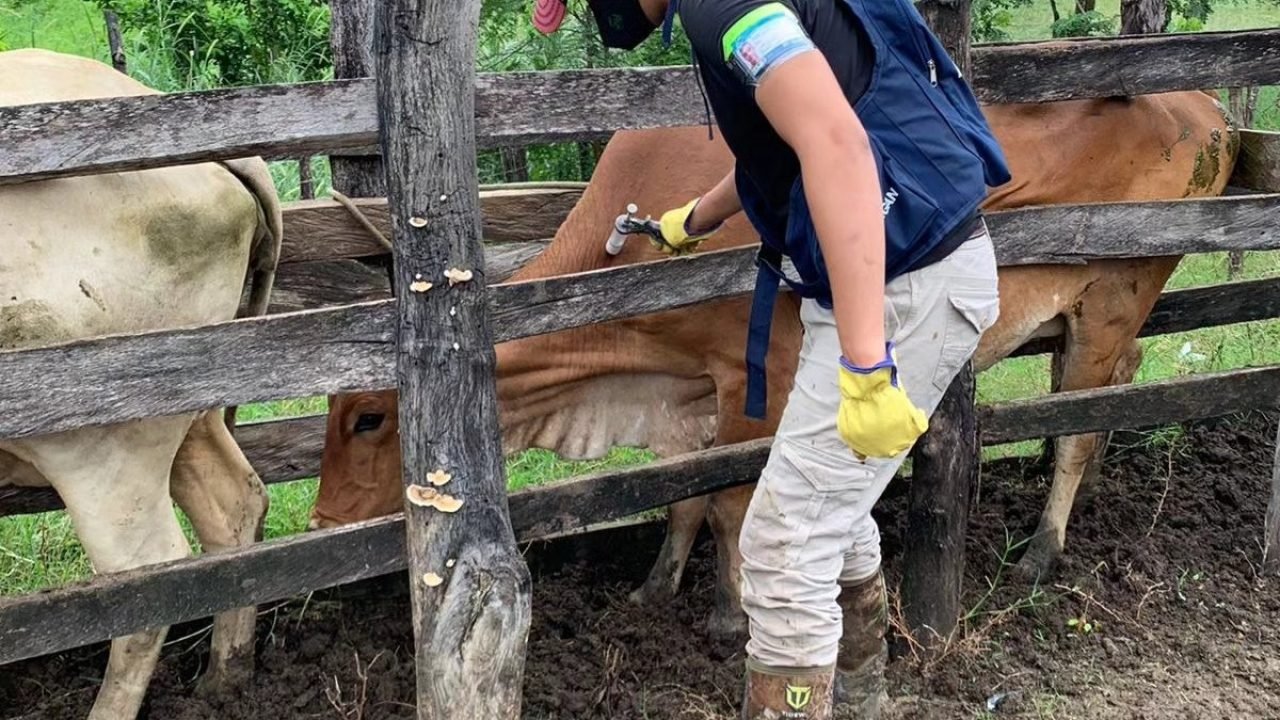 WhatsApp Image 2025-11-06 at 9.53.31 AM